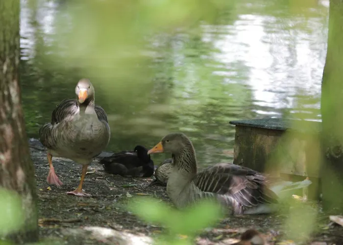 Apartment Holiday Home In Quend-Plage Near Sandy Beach Quend