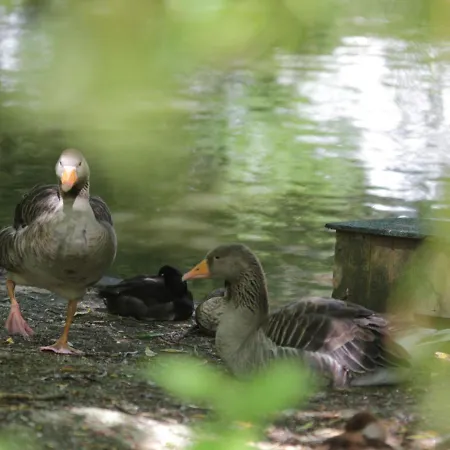 Apartment Holiday Home In Quend-Plage Near Sandy Beach Quend