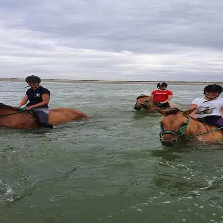 Holiday Home In Quend-Plage Near Sandy Beach *