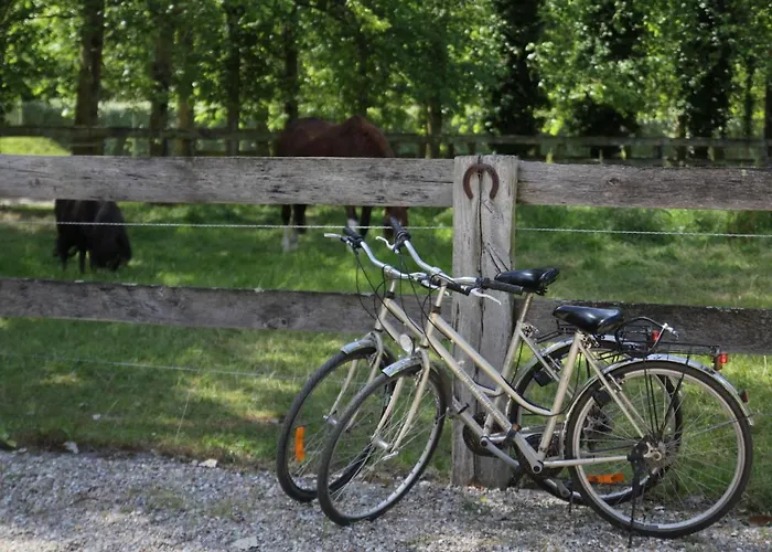 Apartamento In Quend-plage Near Sandy *