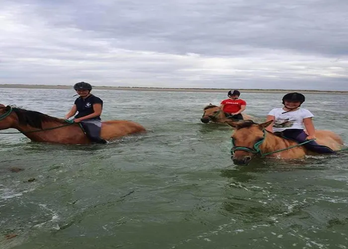 In Quend-plage Near Sandy *